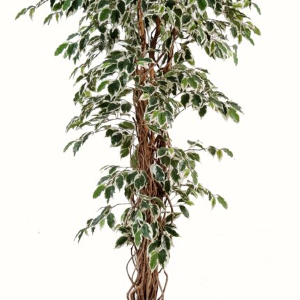 Künstlicher Ficus, ca. 180cm hoch, grün