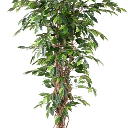Künstlicher Ficus, ca. 210cm hoch, grün
