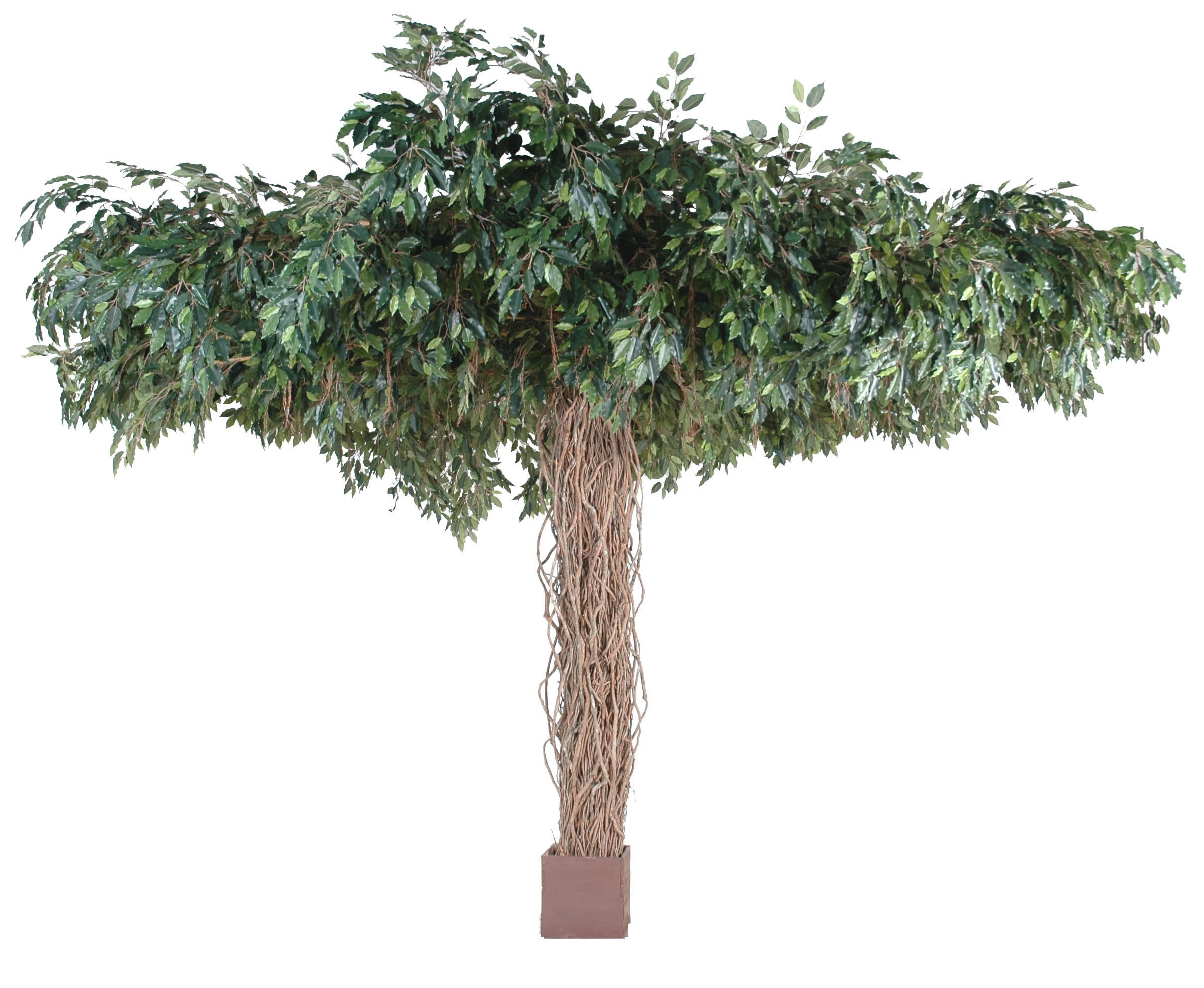 Künstlicher Ficus, ca. 320cm hoch, grün 1 Künstlicher Ficus, ca. 320cm hoch, grün