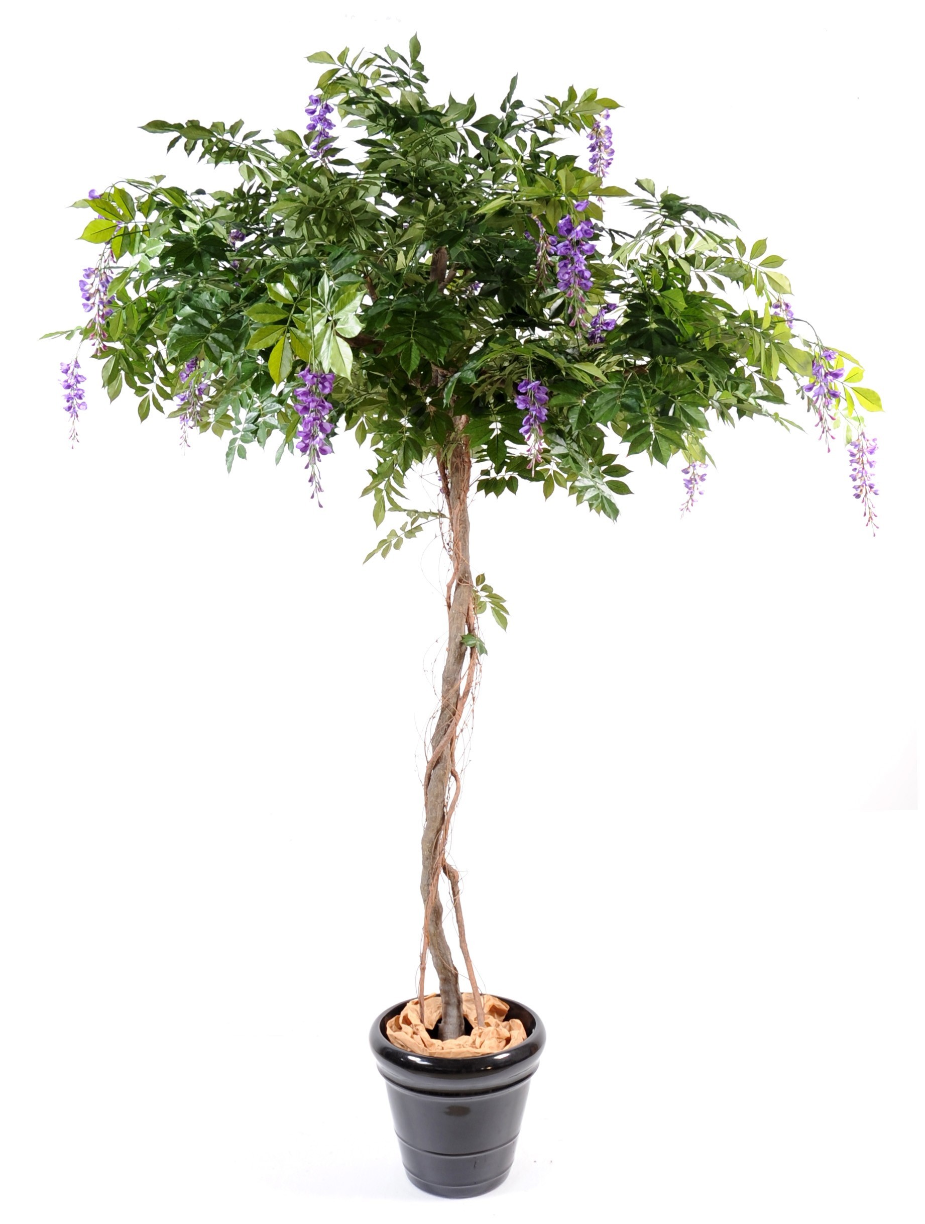 Künstlicher Wisteria Baum, ca. 235cm hoch, lavendelfarben 1 Künstlicher Wisteria Baum, ca. 235cm hoch, lavendelfarben