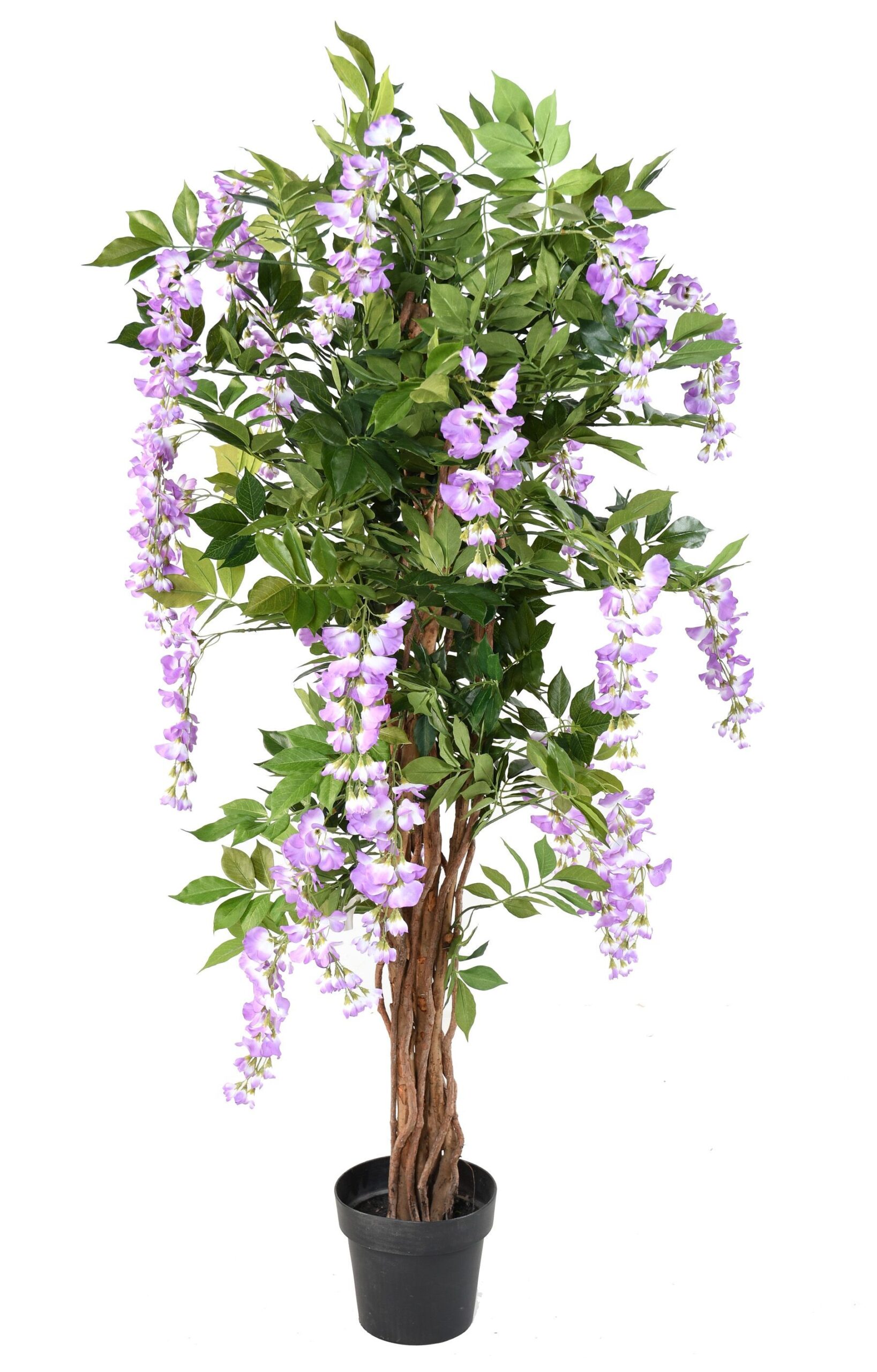 Künstliche Glyzinie, ca. 145cm hoch, lila 1 Künstliche Glyzinie, ca. 145cm hoch, lila