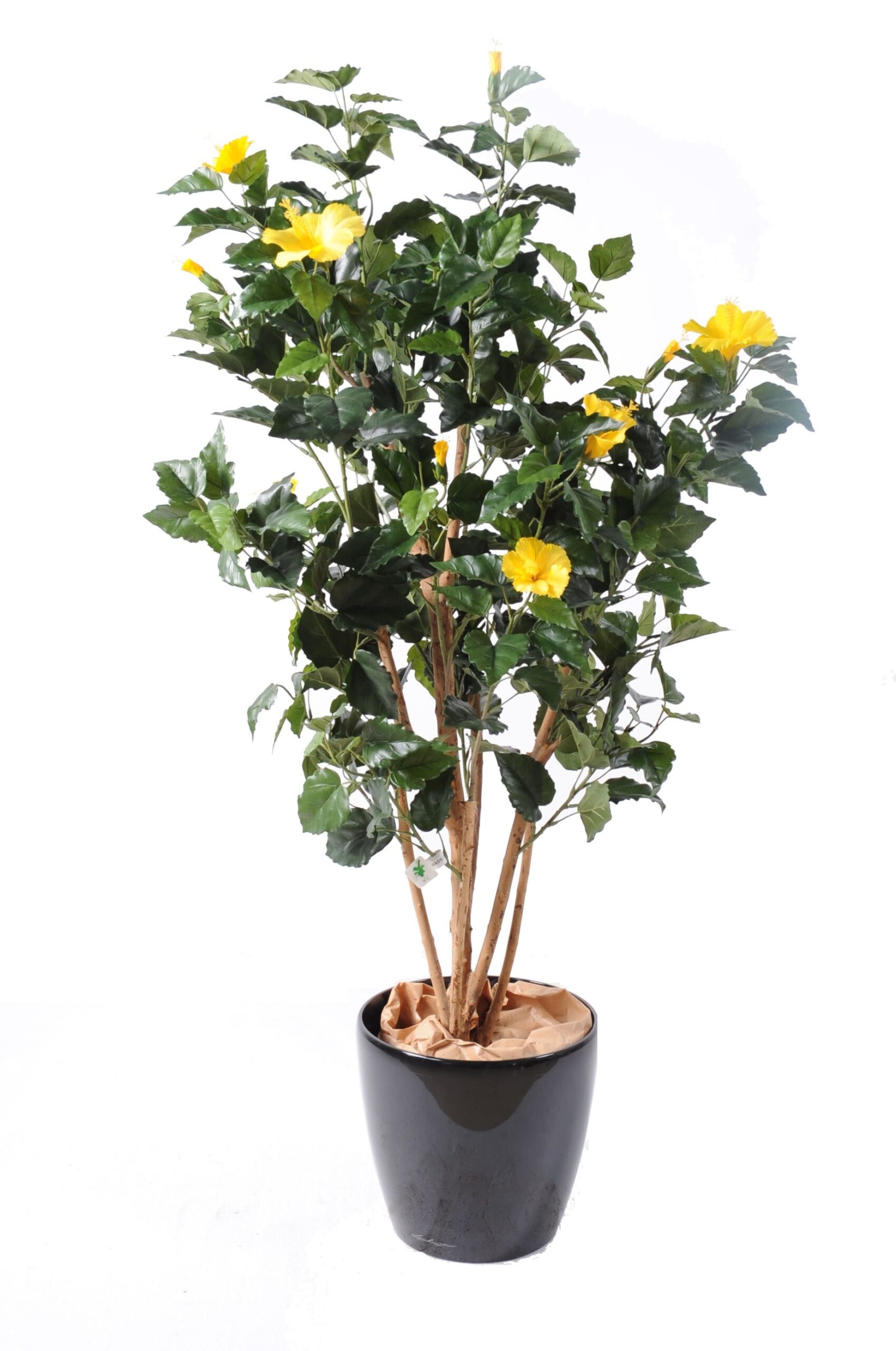 Künstlicher Hibiskus, ca. 110cm hoch, bunt 1 Künstlicher Hibiskus, ca. 110cm hoch, bunt