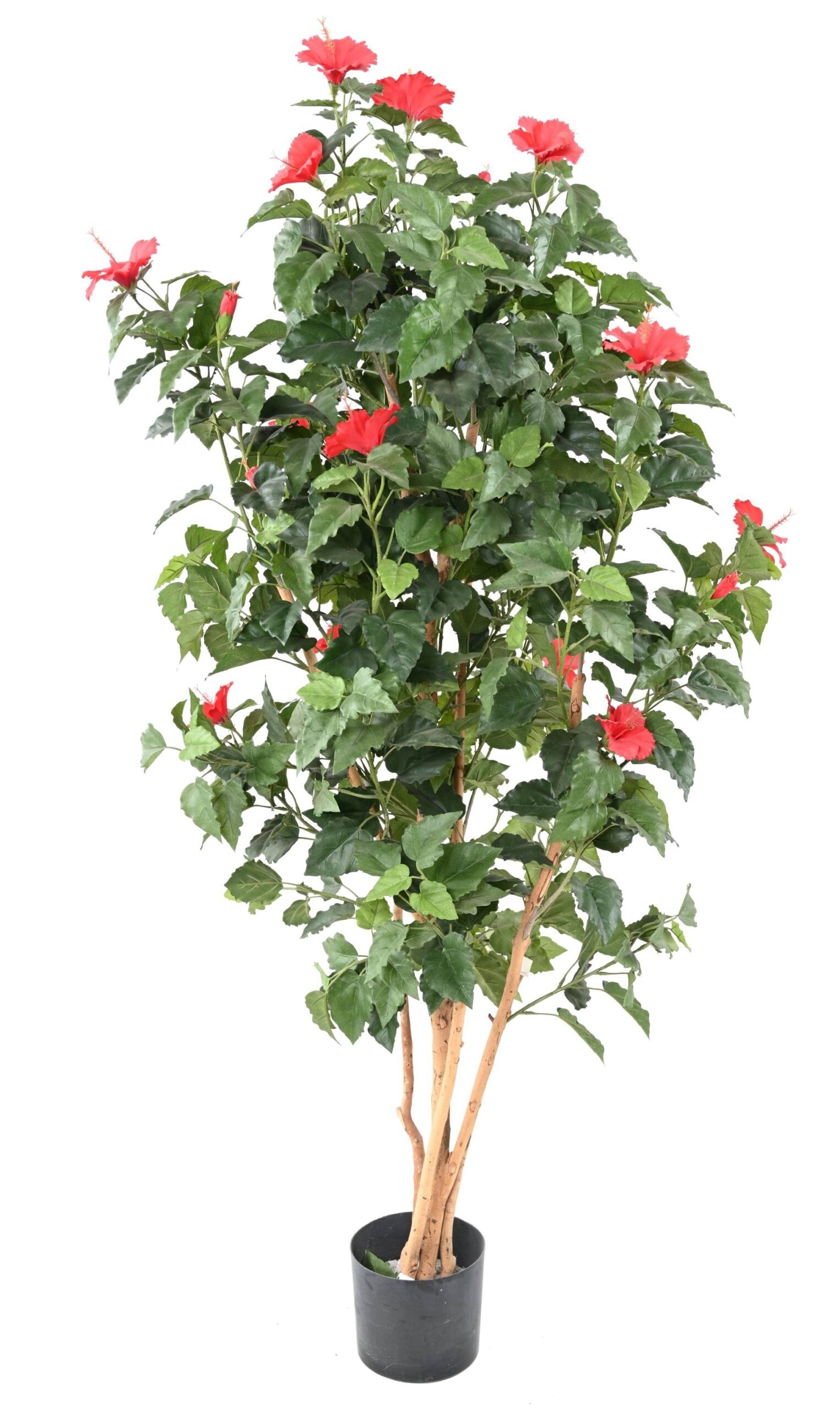 Künstlicher Hibiskus, ca. 110cm hoch, rot 1 Künstlicher Hibiskus, ca. 110cm hoch, rot