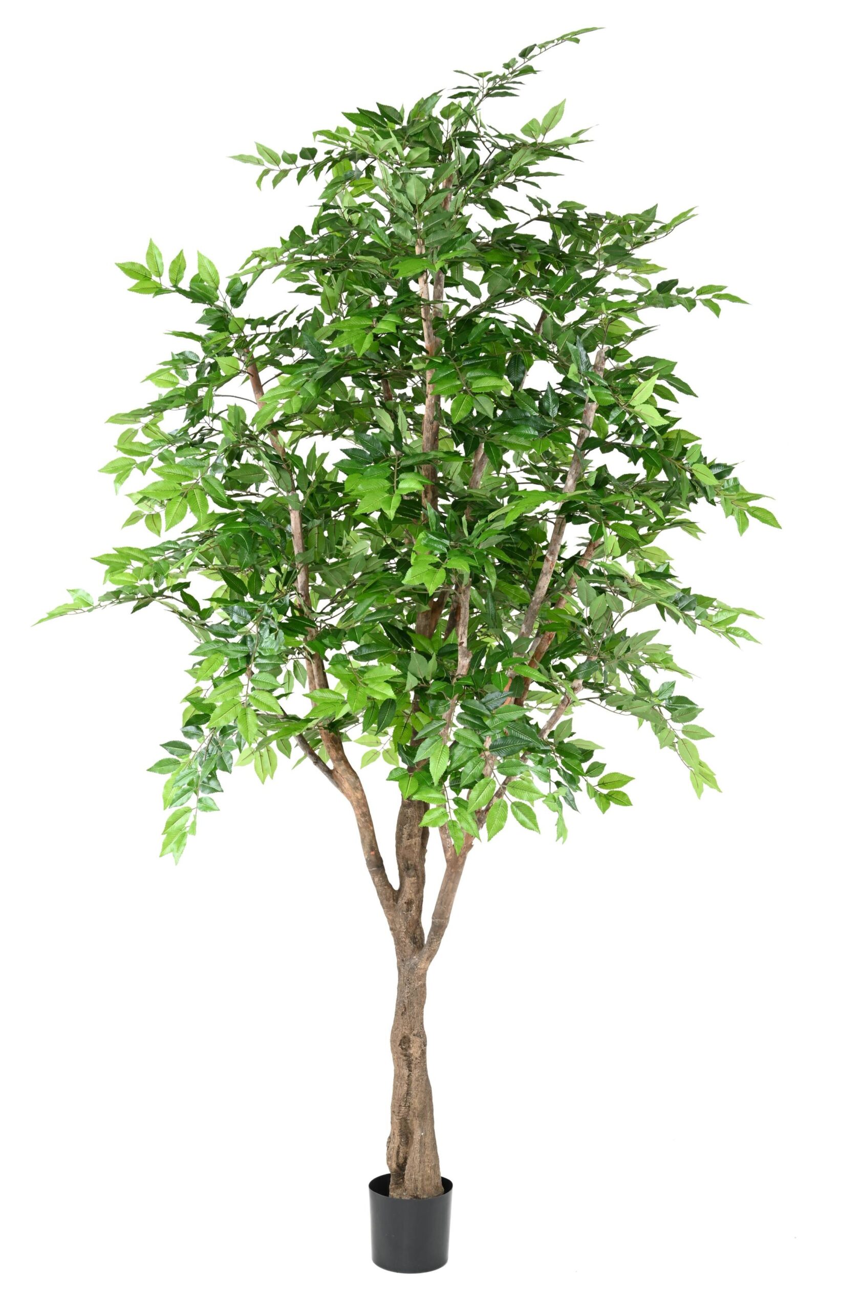 Künstlicher Hainbuchenbaum, ca. 280cm hoch, grün 1 Künstlicher Hainbuchenbaum, ca. 280cm hoch, grün