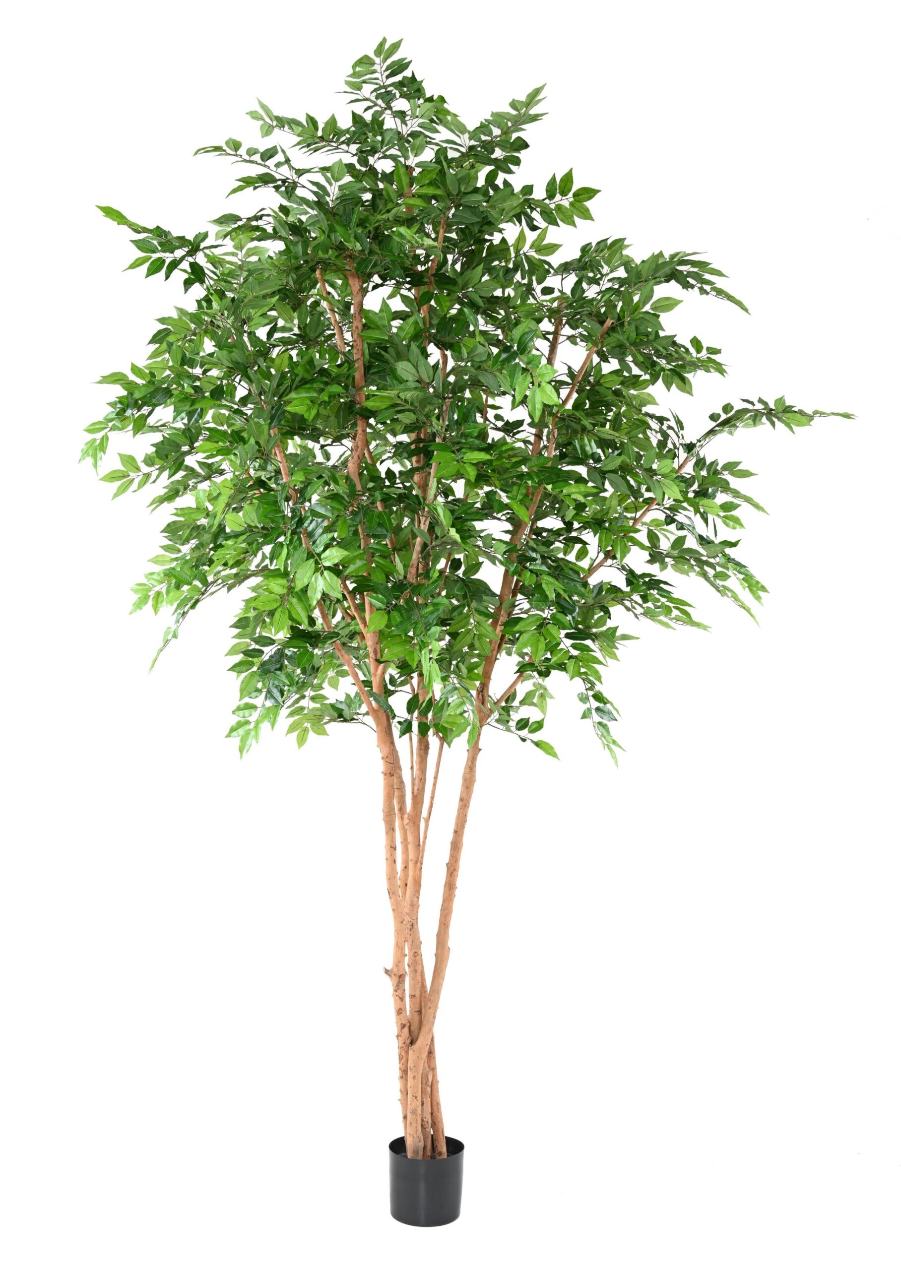 Künstlicher Hainbuchenbaum, ca. 340cm hoch, grün 1 Künstlicher Hainbuchenbaum, ca. 340cm hoch, grün