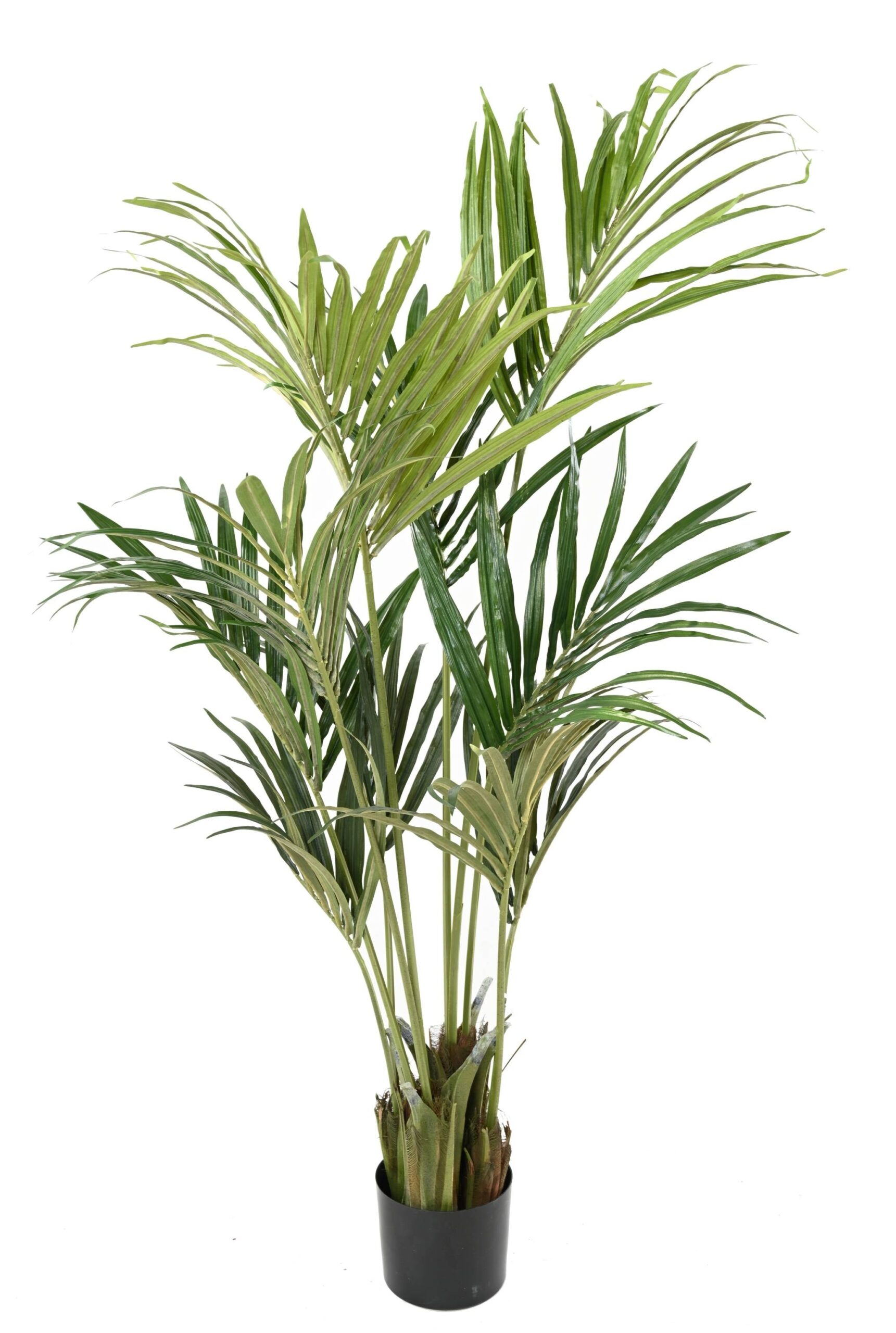 Künstliche Kentia-Palme, ca. 160cm, grün 1 Künstliche Kentia-Palme, ca. 160cm, grün