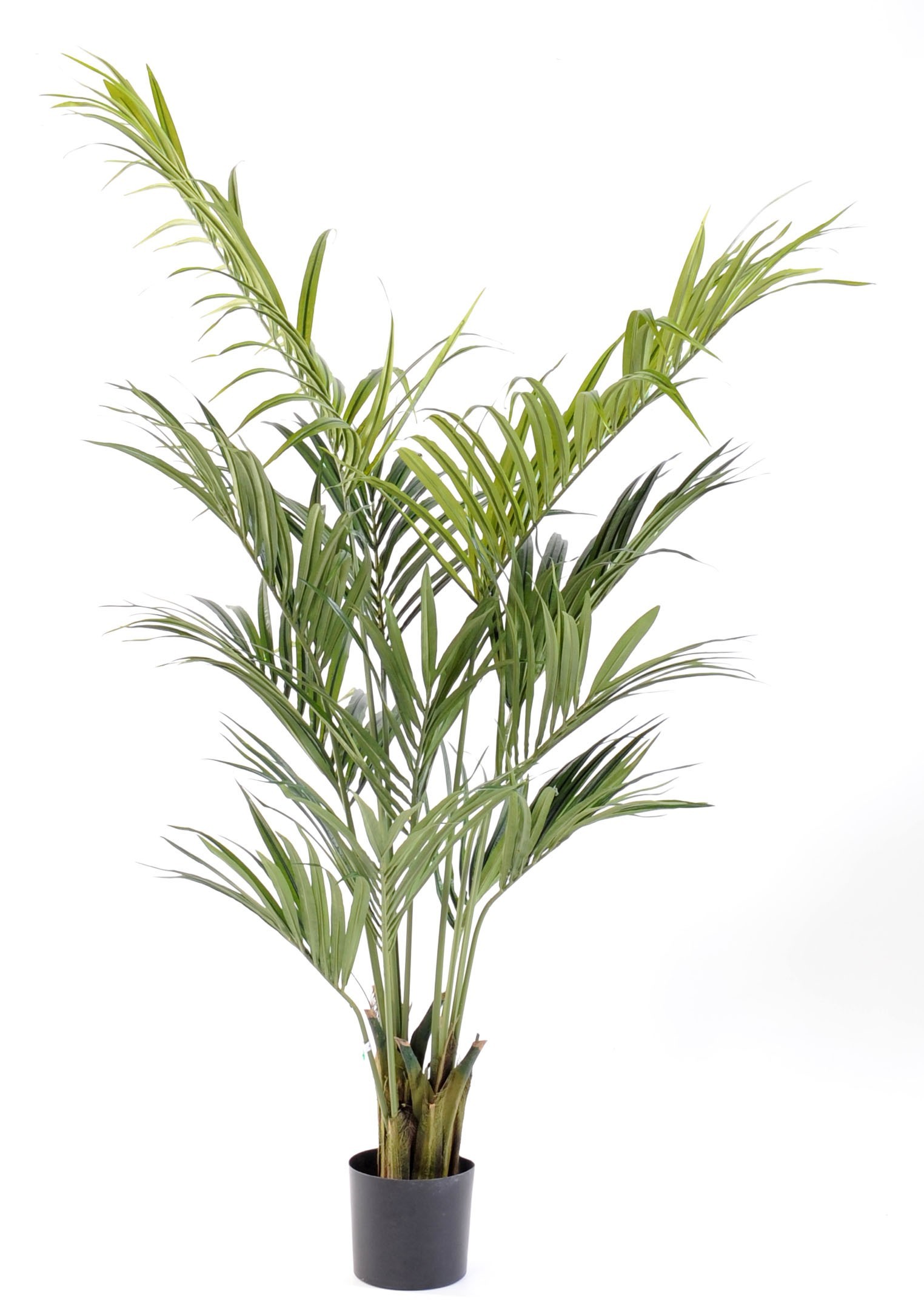 Künstliche Kentia-Palme, ca. 190cm, grün 1 Künstliche Kentia-Palme, ca. 190cm, grün