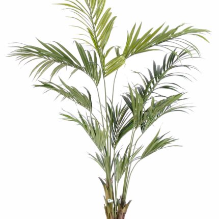 Künstliche Kentia-Palme, ca. 210cm, grün