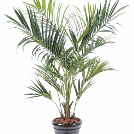 Künstliche Kentia-Palme, ca. 220cm, grün