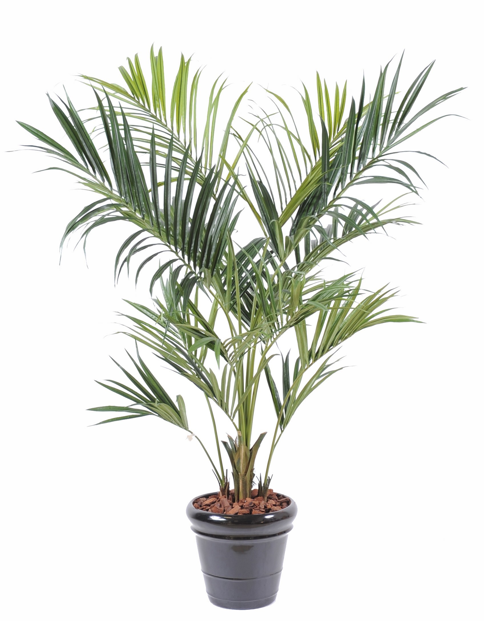 Künstliche Kentia-Palme, ca. 220cm, grün 1 Künstliche Kentia-Palme, ca. 220cm, grün