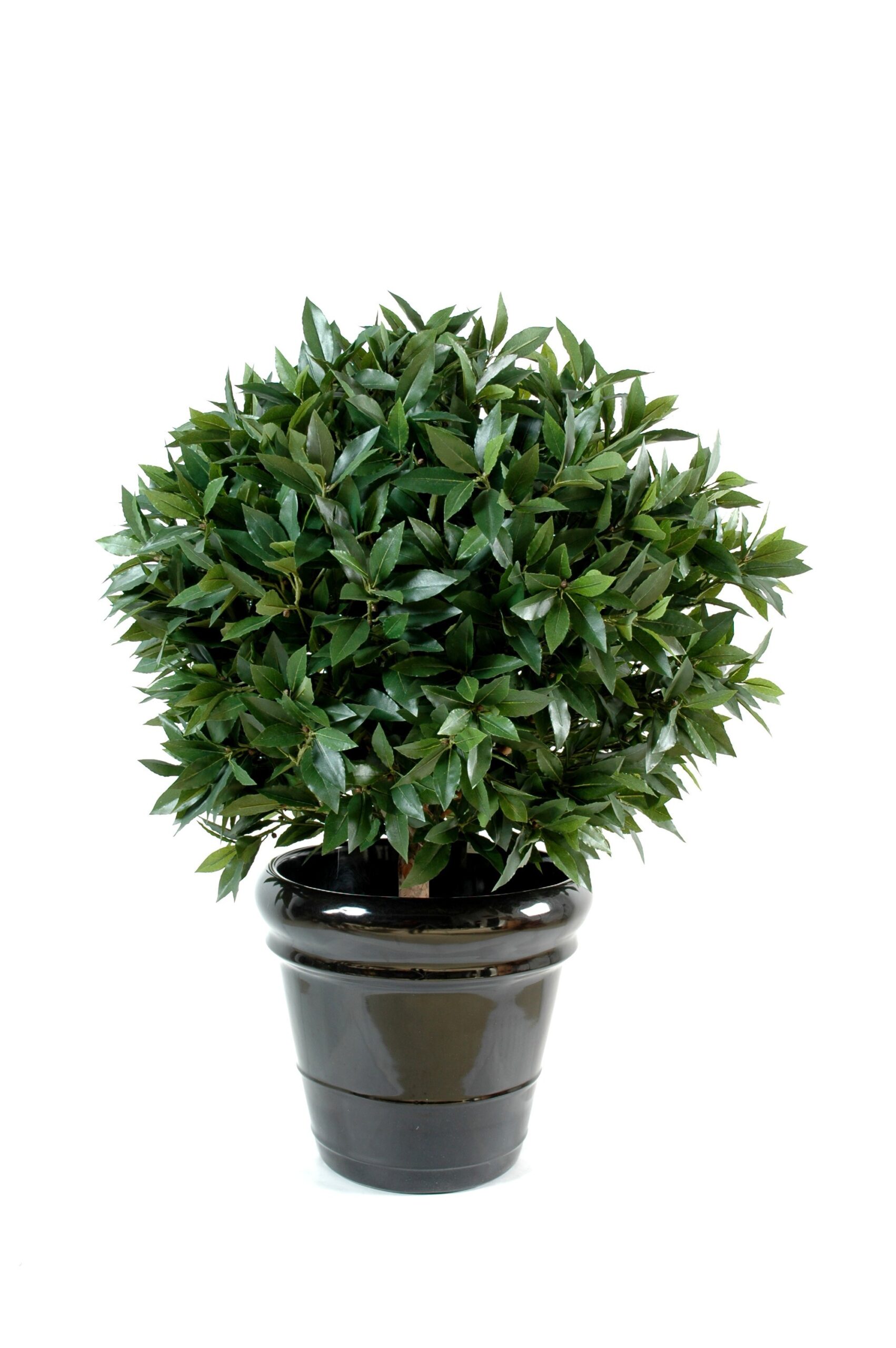 Künstlicher Ficus, ca. 150cm hoch, grün 1 Künstlicher Ficus, ca. 150cm hoch, grün