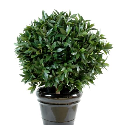 Künstlicher Ficus, ca. 170cm hoch, grün