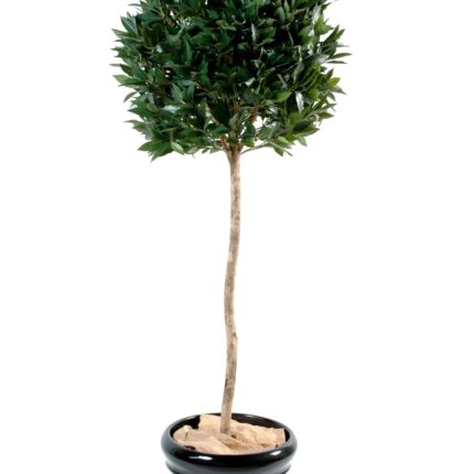 Künstlicher Ficus, ca. 180cm hoch, grün