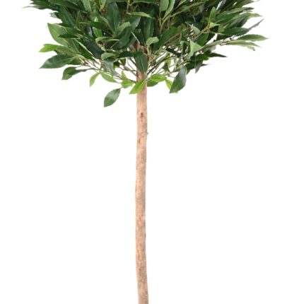 Künstlicher Ficus, ca. 135cm hoch, grün