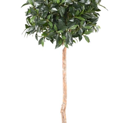 Künstlicher Lorbeerbaum, ca 150cm - UV-Beständig, grün