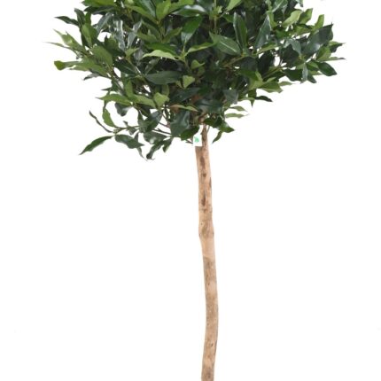 Künstlicher Lorbeerbaum, ca. 140cm hoch, grün