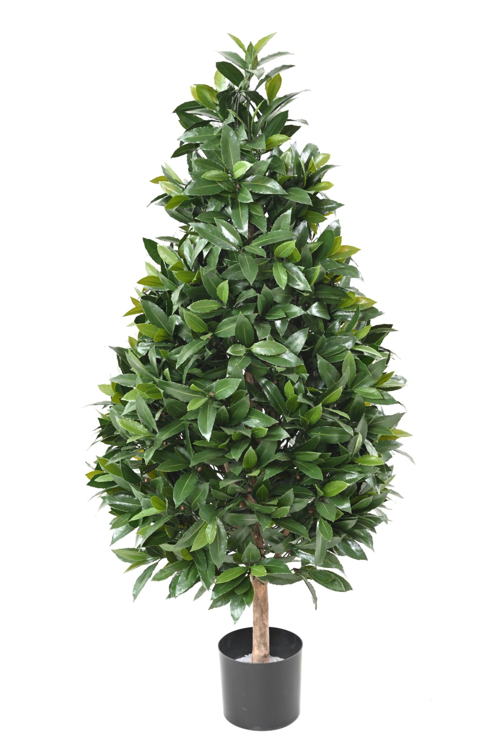 Künstlicher Lorbeer Kegelbaum, ca 130cm - UV-Beständig, grün 1 Künstlicher Lorbeer Kegelbaum, ca 130cm - UV-Beständig, grün