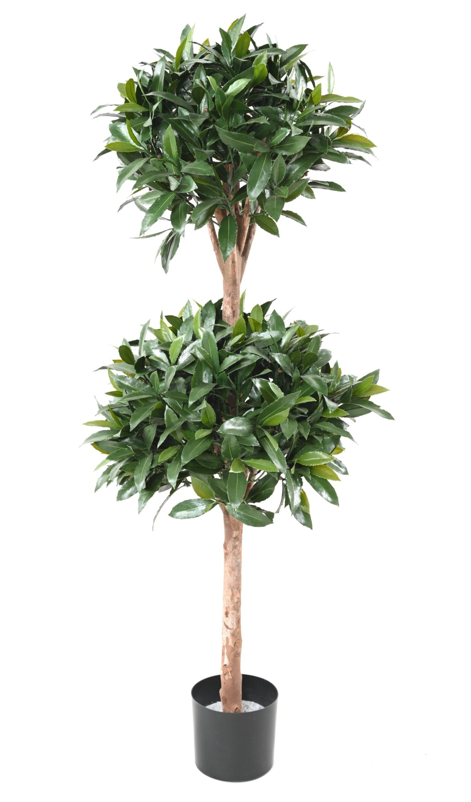 Künstlicher Lorbeer-Doppelkugel-Baum, ca 140cm - UV-Beständig, grün 1 Künstlicher Lorbeer-Doppelkugel-Baum, ca 140cm - UV-Beständig, grün