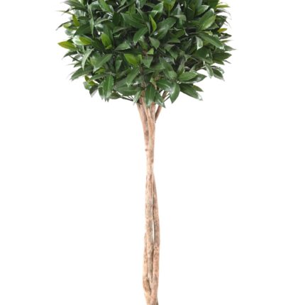 Künstlicher Lorbeerbaum, ca 145cm - UV-beständig, grün