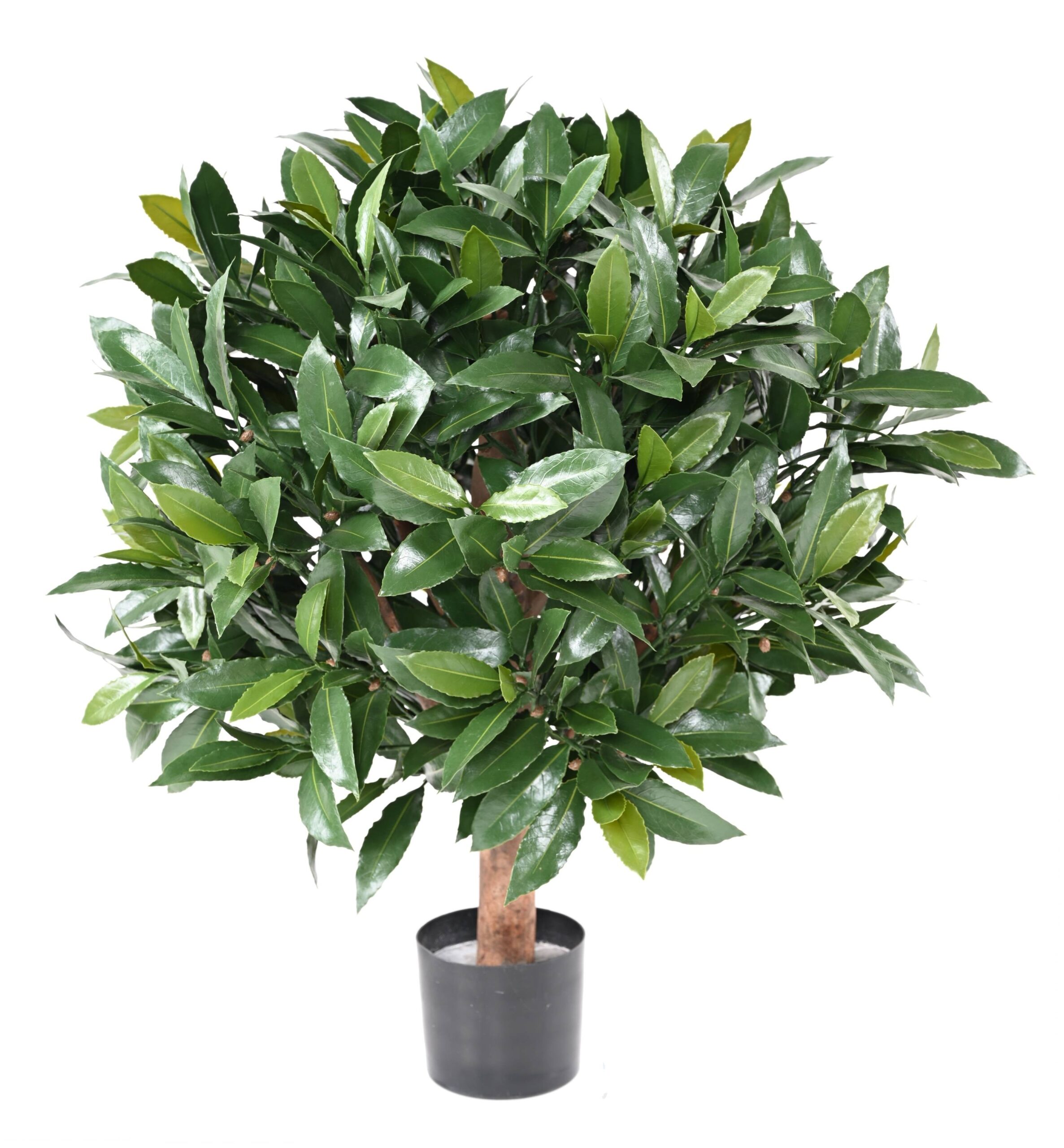 Künstliche Lorbeerkugel auf Stamm, ca 60cm - UV-Beständig, grün 1 Künstliche Lorbeerkugel auf Stamm, ca 60cm - UV-Beständig, grün