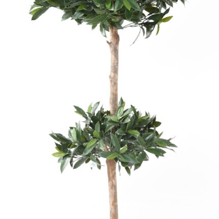 Künstlicher Lorbeerbaum, ca 170cm - UV-Beständig, grün
