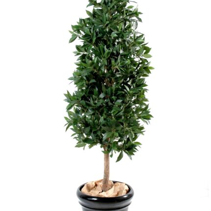 Künstliche Lorbeerpyramide, ca. 180cm hoch, grün