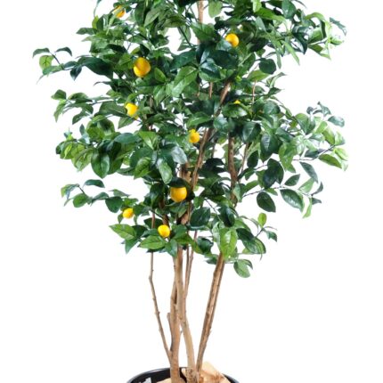 Künstlicher Zitronenbaum, ca. 180cm hoch