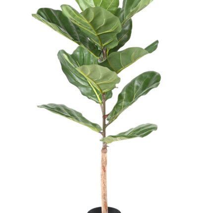 Künstlicher Ficus Lyrata, ca. 100cm hoch, grün