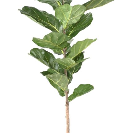 Künstlicher Ficus Lyrata, ca. 160cm hoch, grün