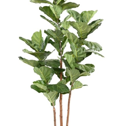 Künstlicher Ficus Lyrata, ca. 190cm hoch, grün
