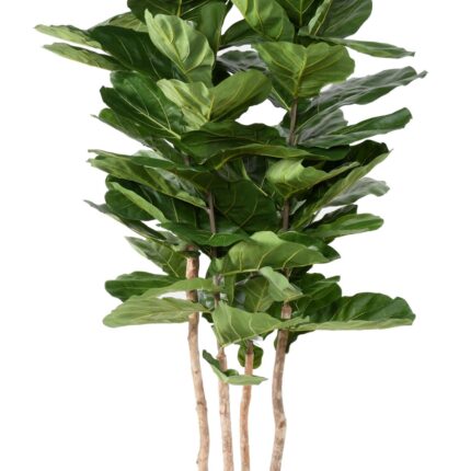Künstlicher Ficus Lyrata, ca. 210cm hoch, grün