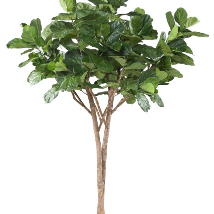 Künstlicher Ficus Lyrata Baum, ca. 340cm hoch, grün