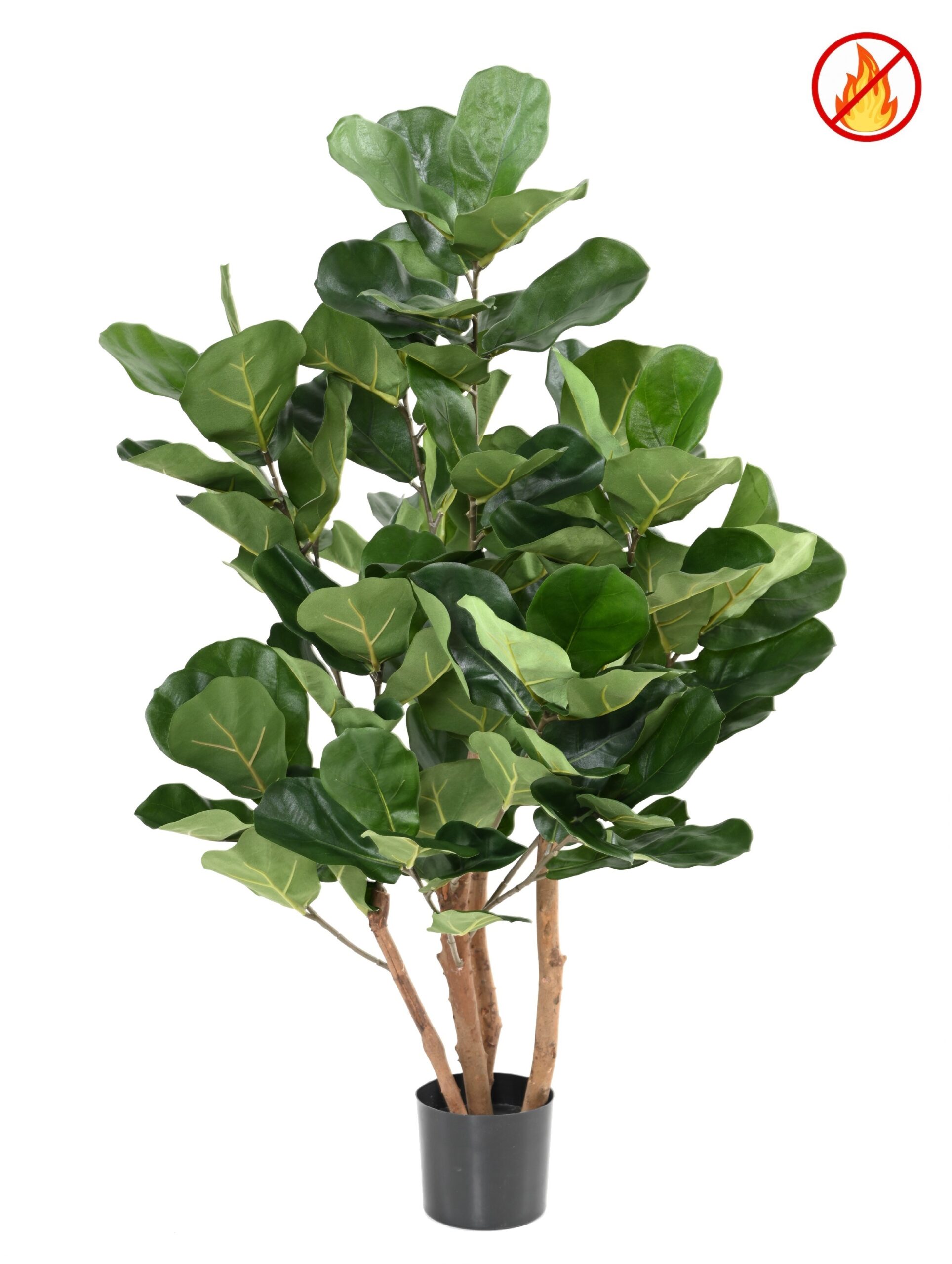 Künstlicher Ficus Lyrata, ca. 105cm hoch, grün 1 Künstlicher Ficus Lyrata, ca. 105cm hoch, grün