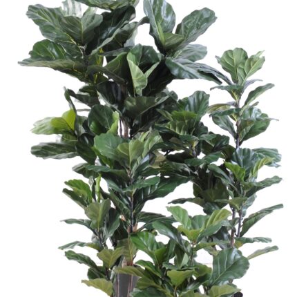 Künstlicher Ficus Lyrata, ca. 90cm hoch, grün