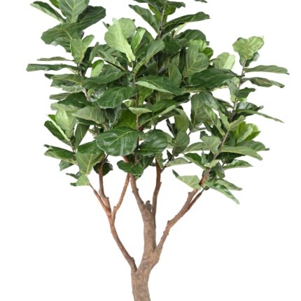 Künstlicher Ficus Lyrata, ca. 290cm hoch, grün