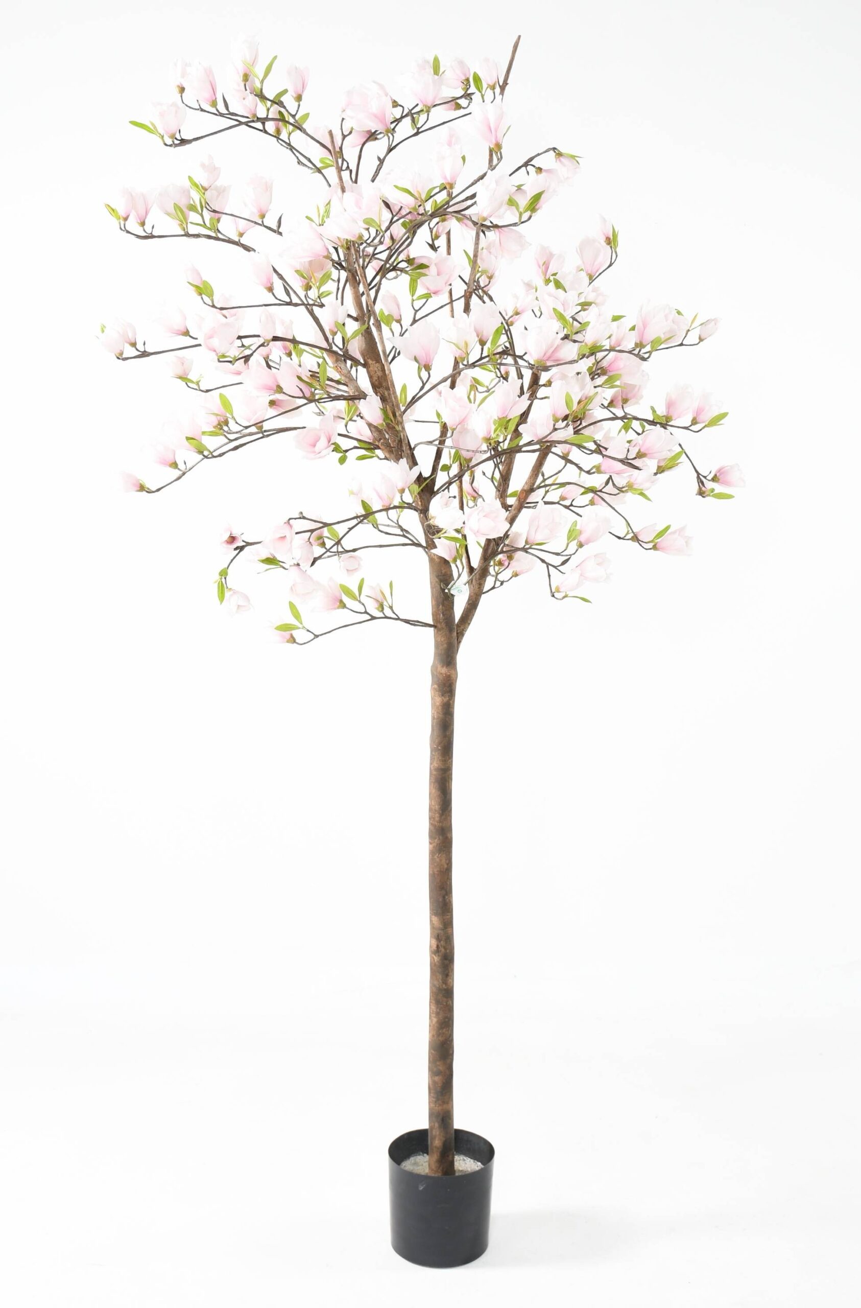 Künstlicher Japanischer Tulpenbaum, ca. 230cm hoch, Weiß-Rosa 1 Künstlicher Japanischer Tulpenbaum, ca. 230cm hoch, Weiß-Rosa