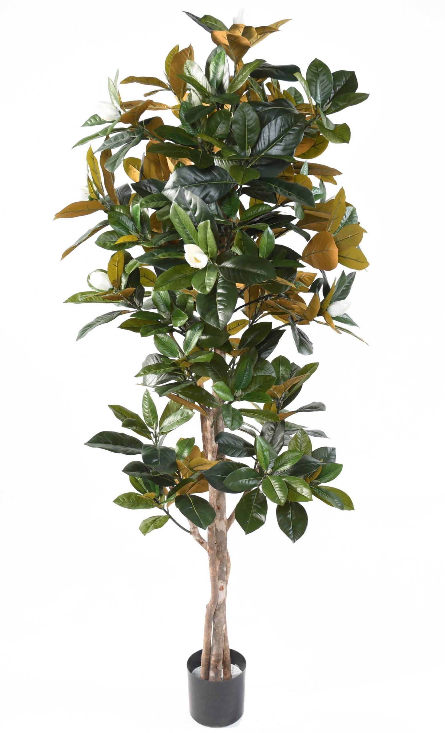 Künstlicher Magnolienbaum, ca. 185cm hoch, weiß 1 Künstlicher Magnolienbaum, ca. 185cm hoch, weiß