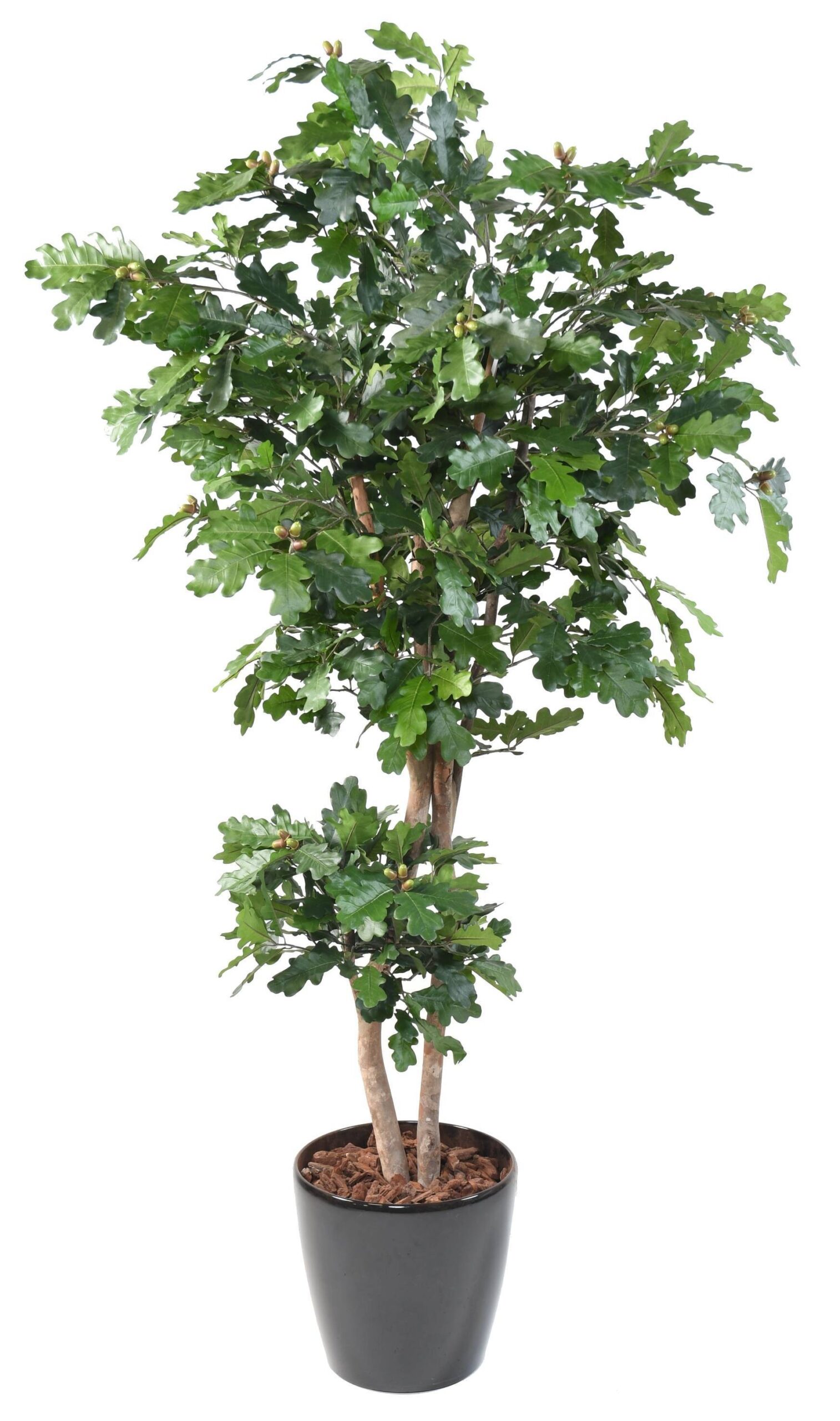 Künstlicher Eichenbaum, ca. 180cm hoch, grün 1 Künstlicher Eichenbaum, ca. 180cm hoch, grün