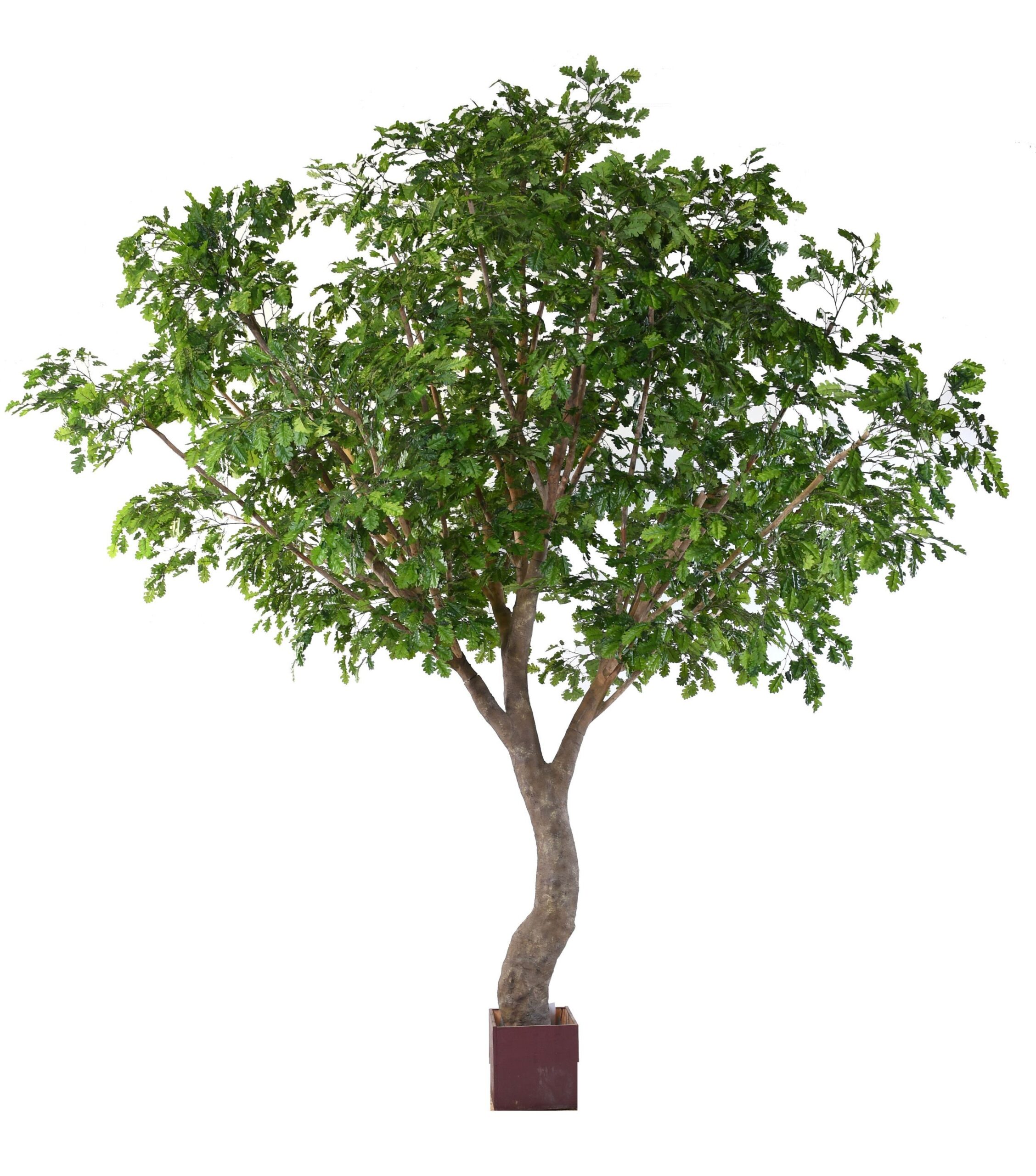 Künstliche Eiche, ca. 360cm - Premium 1 Künstliche Eiche, ca. 360cm - Premium