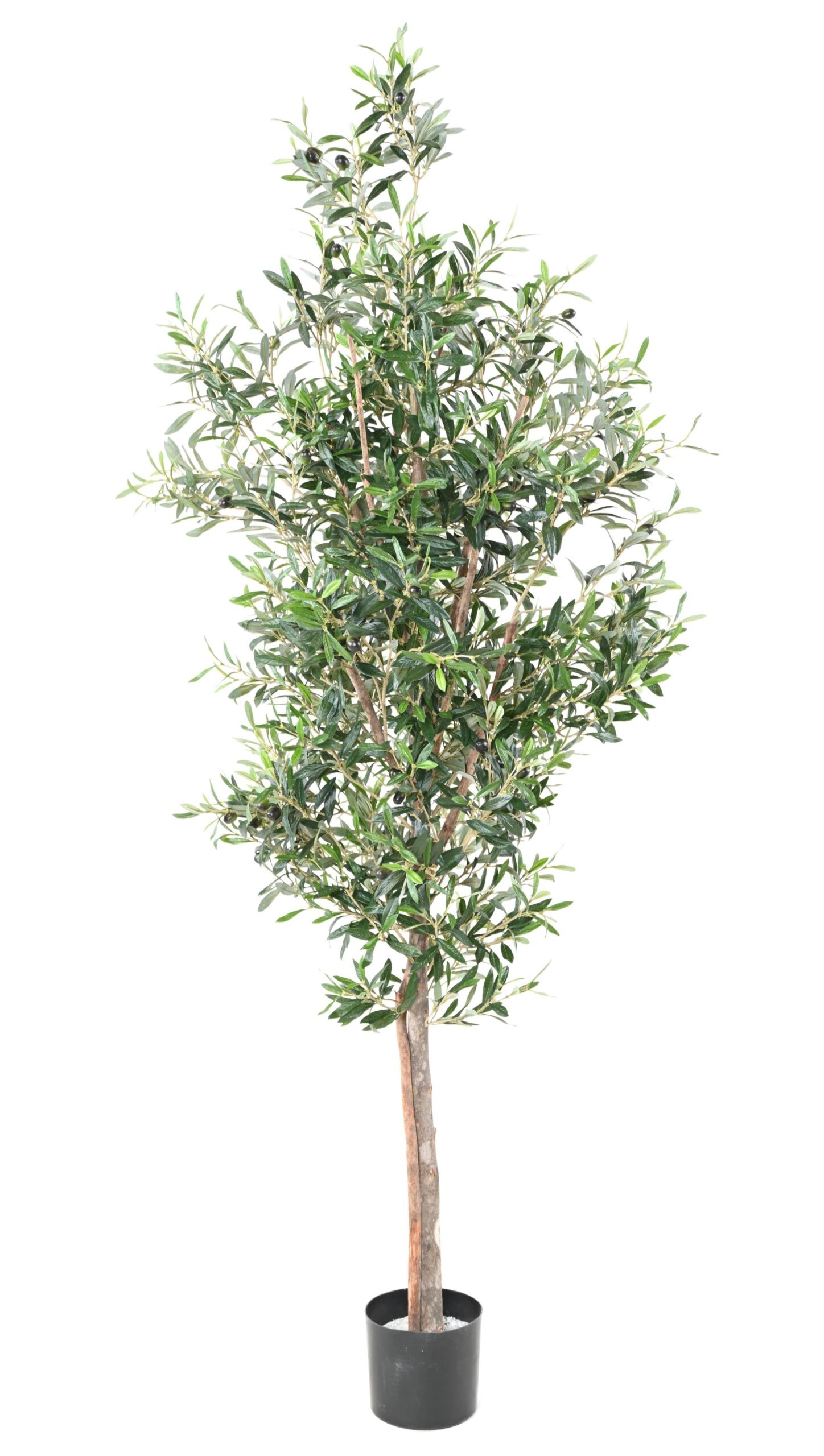 Künstlicher Olivenbaum, ca. 180cm hoch, silbergrün 1 Künstlicher Olivenbaum, ca. 180cm hoch, silbergrün