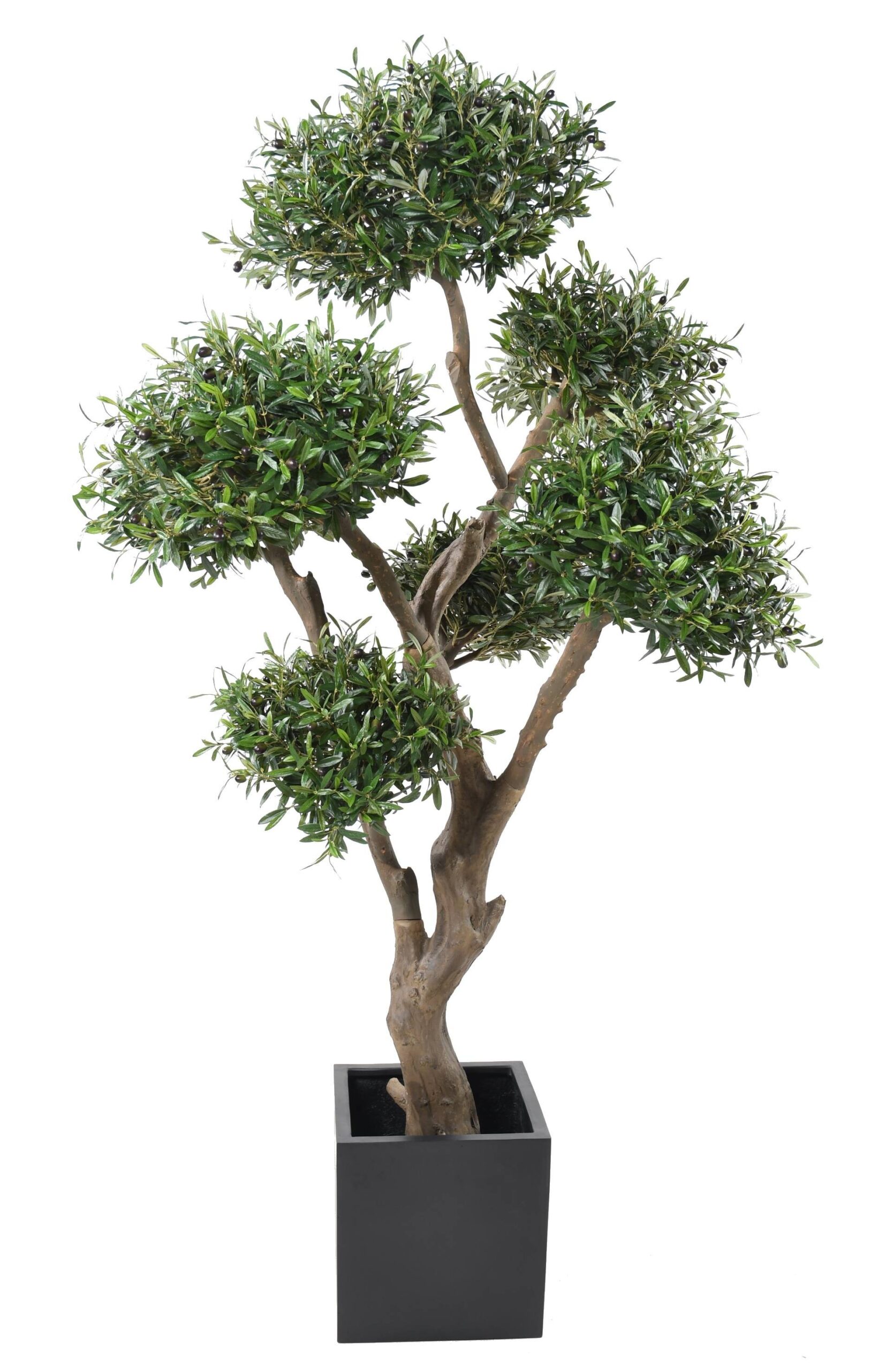 Künstlicher Bonsai-Olivenbaum, ca. 235cm hoch, grün 1 Künstlicher Bonsai-Olivenbaum, ca. 235cm hoch, grün