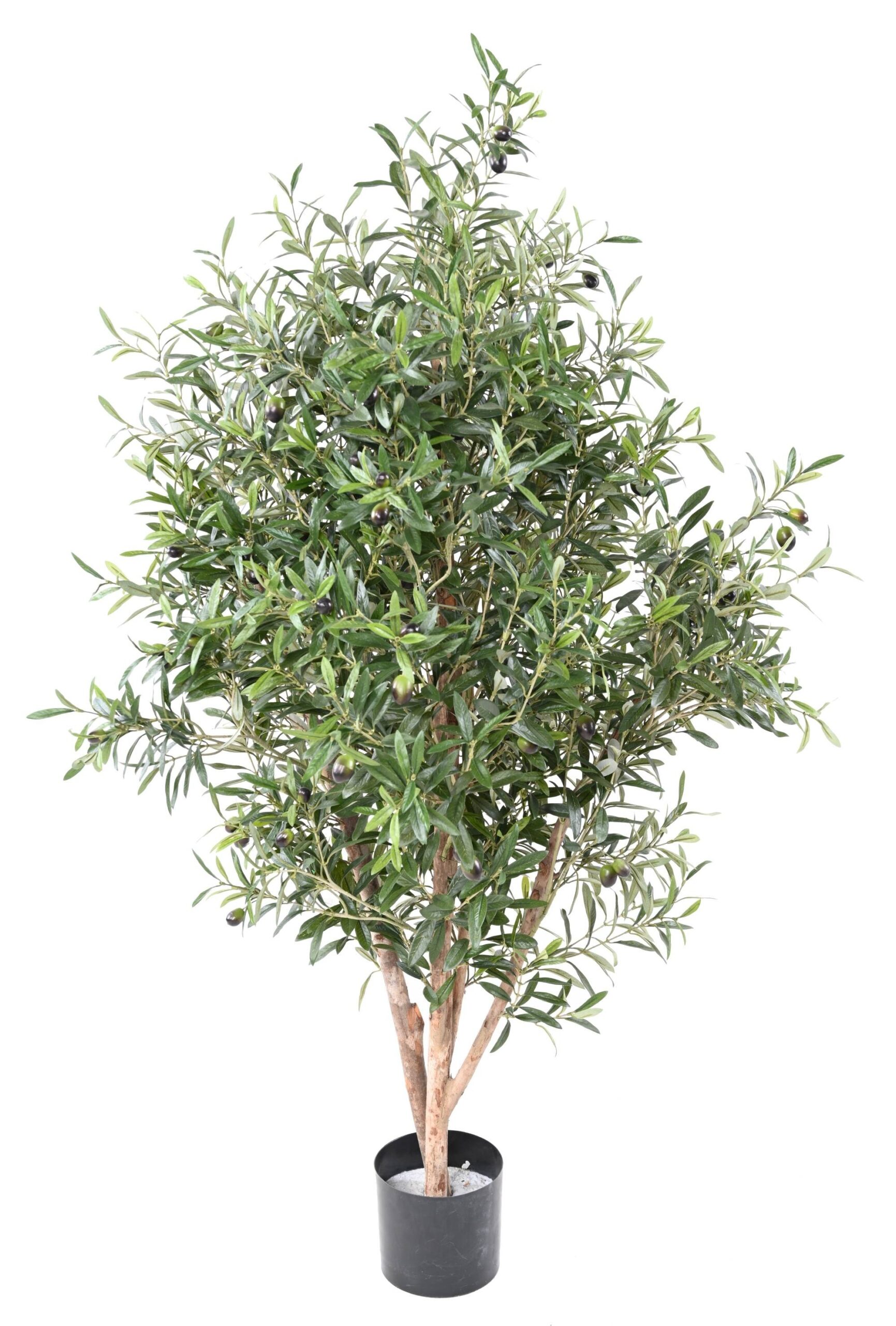 Künstlicher Olivenbaum, ca. 170cm hoch, silbergrün 1 Künstlicher Olivenbaum, ca. 170cm hoch, silbergrün