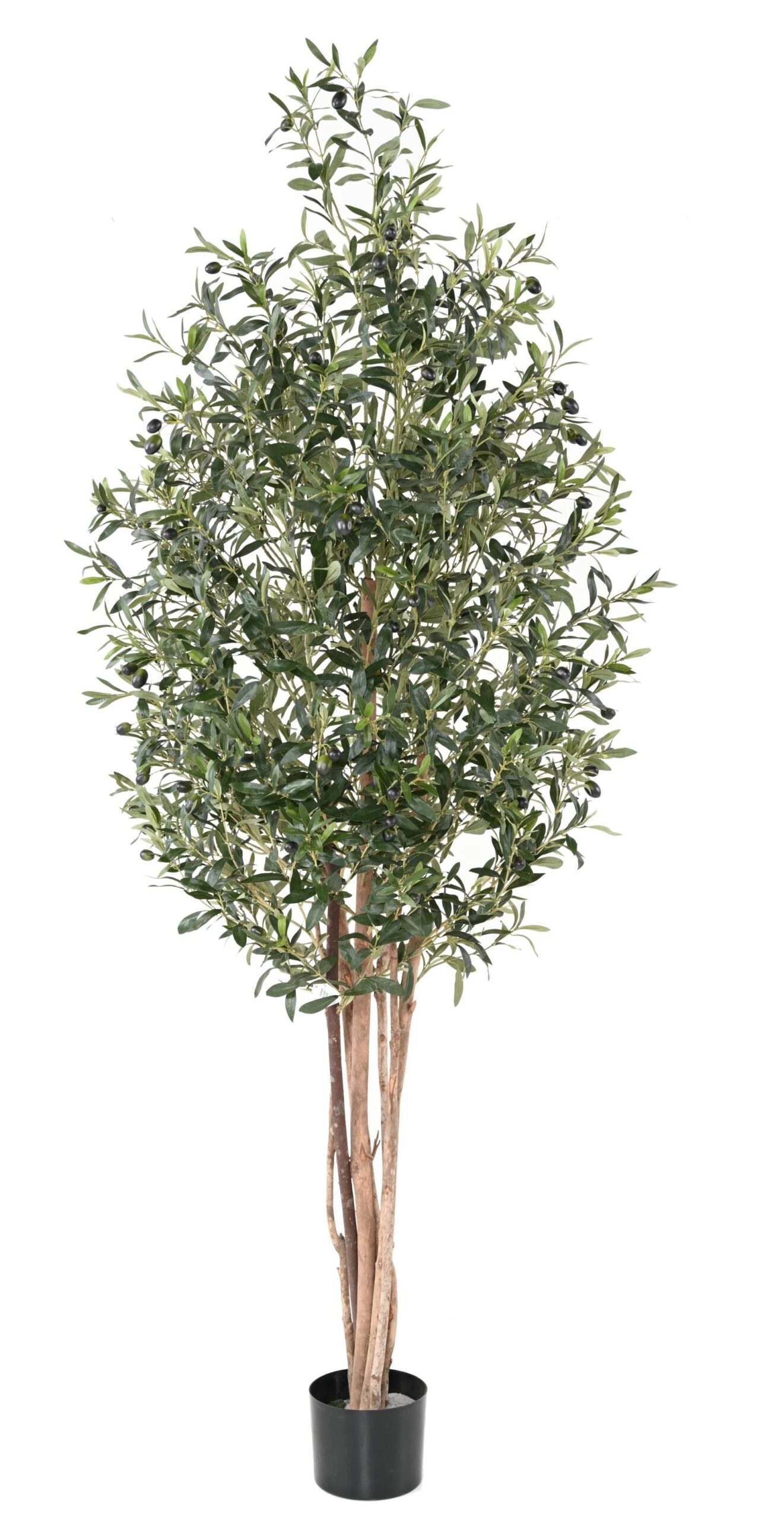 Künstlicher Olivenbaum, ca. 200cm hoch, grün 1 Künstlicher Olivenbaum, ca. 200cm hoch, grün