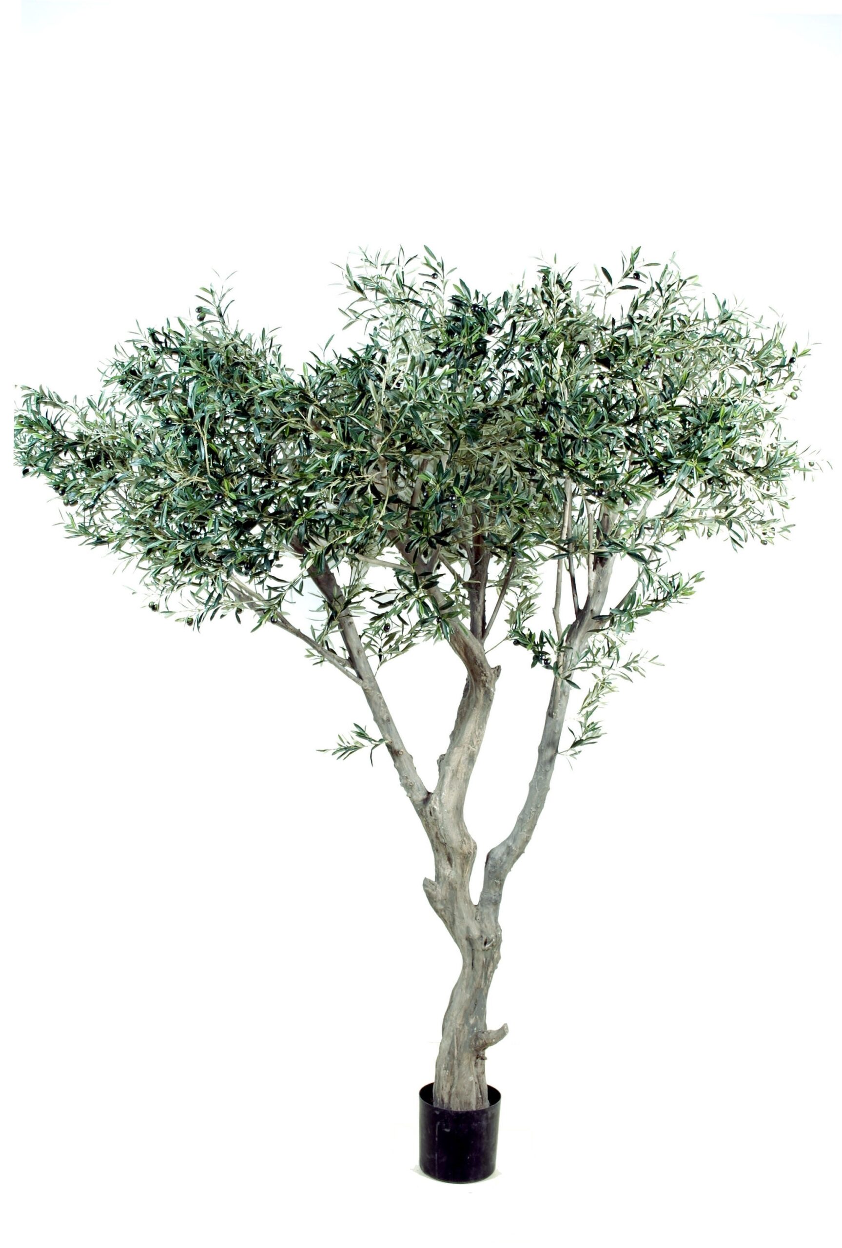 Künstlicher Olivenbaum, ca. 240cm hoch, silbergrün 1 Künstlicher Olivenbaum, ca. 240cm hoch, silbergrün