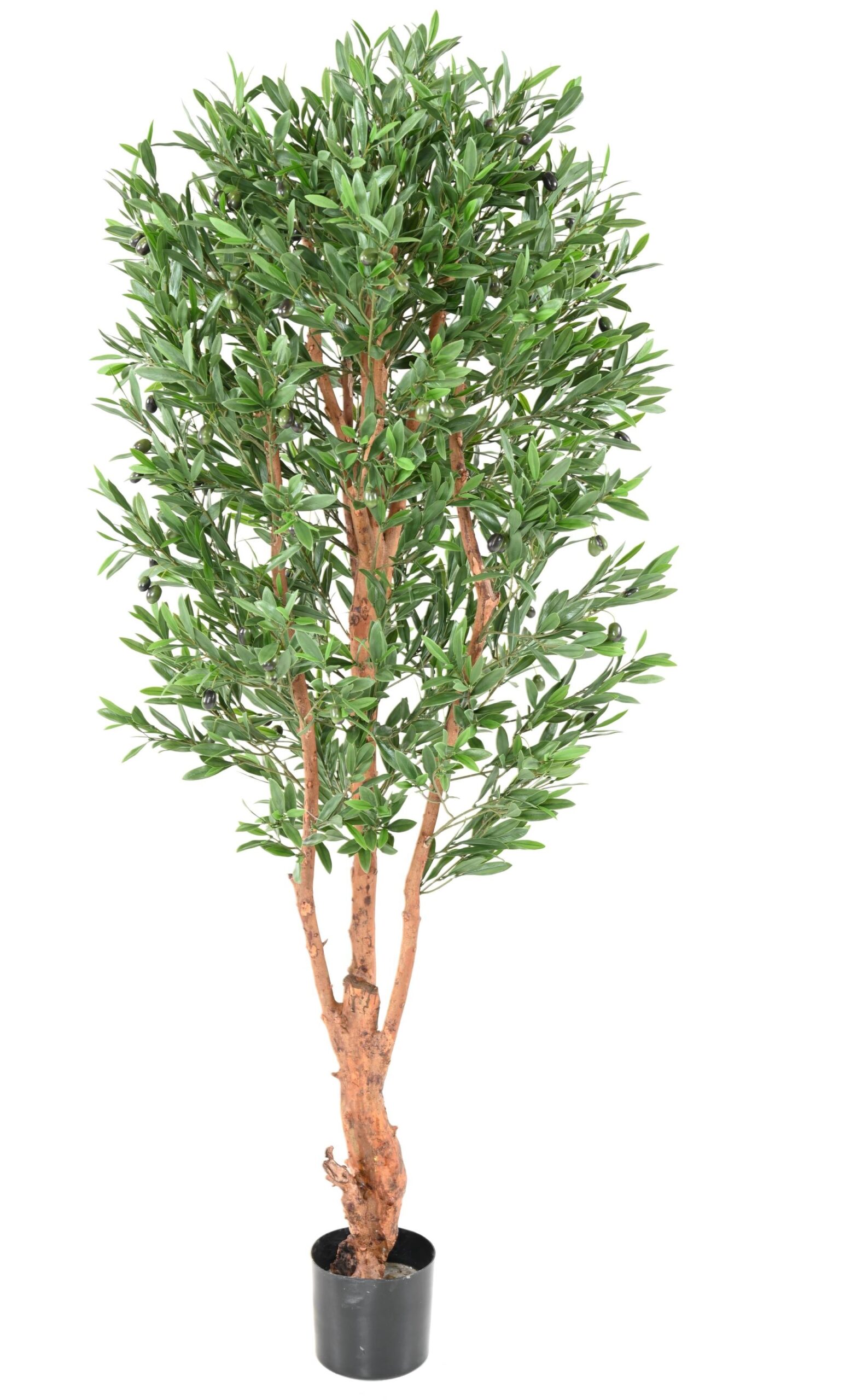 Künstlicher Olivenbaum, ca 170cm - UV-Beständig, grün 1 Künstlicher Olivenbaum, ca 170cm - UV-Beständig, grün