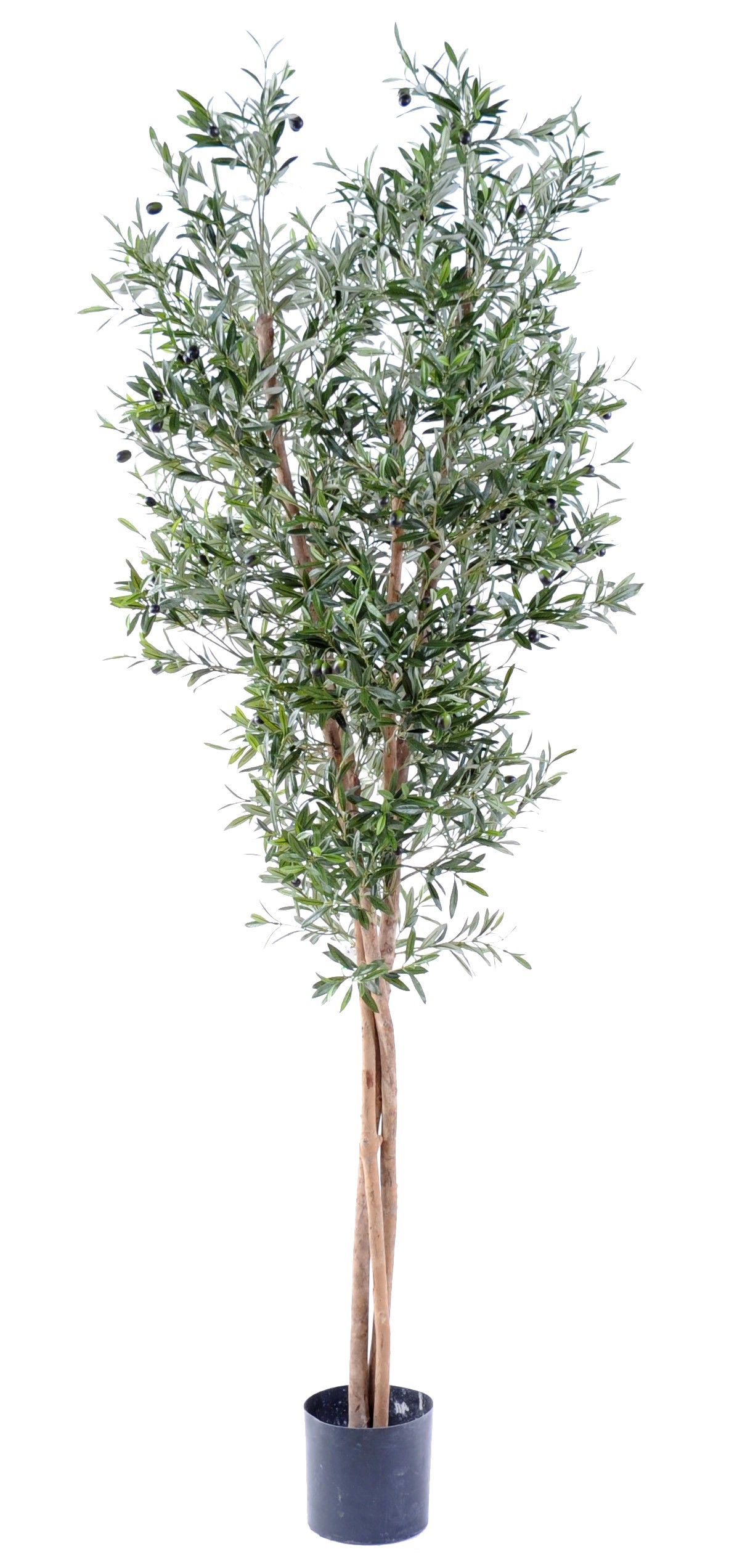 Künstlicher Olivenbaum, ca. 210cm hoch, silbergrün 1 Künstlicher Olivenbaum, ca. 210cm hoch, silbergrün