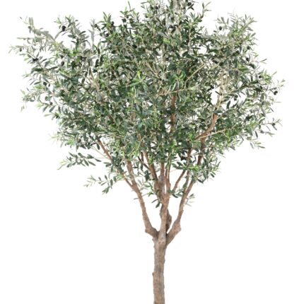 Künstlicher premium Olivenbaum, Schwerentflammbar B1/RF2, ca. 270cm