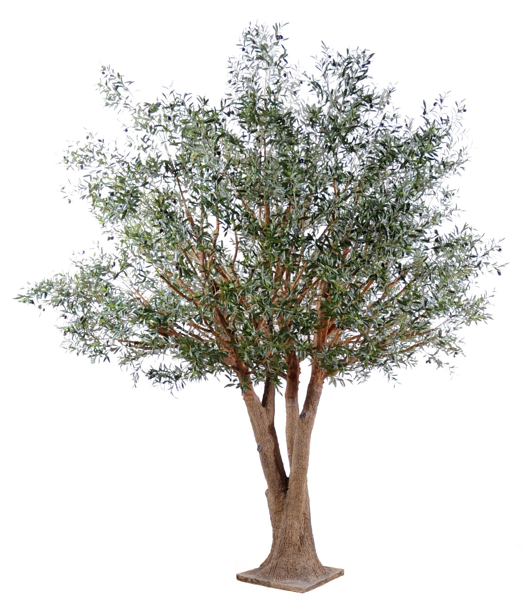 Künstlicher Olivenbaum, ca. 350cm hoch, silbergrün 1 Künstlicher Olivenbaum, ca. 350cm hoch, silbergrün