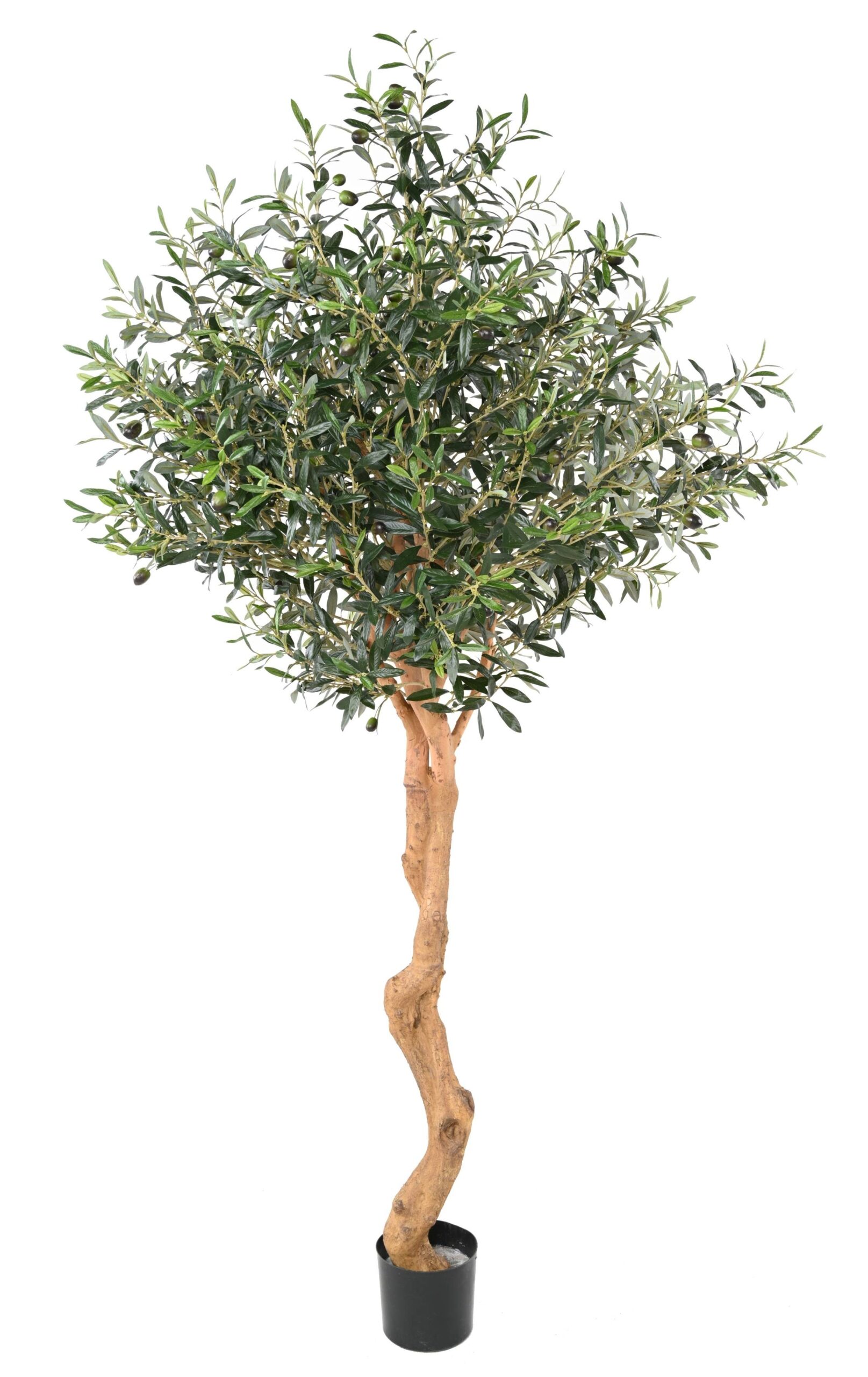 Künstlicher Olivenbaum, ca. 200cm hoch, grün 1 Künstlicher Olivenbaum, ca. 200cm hoch, grün