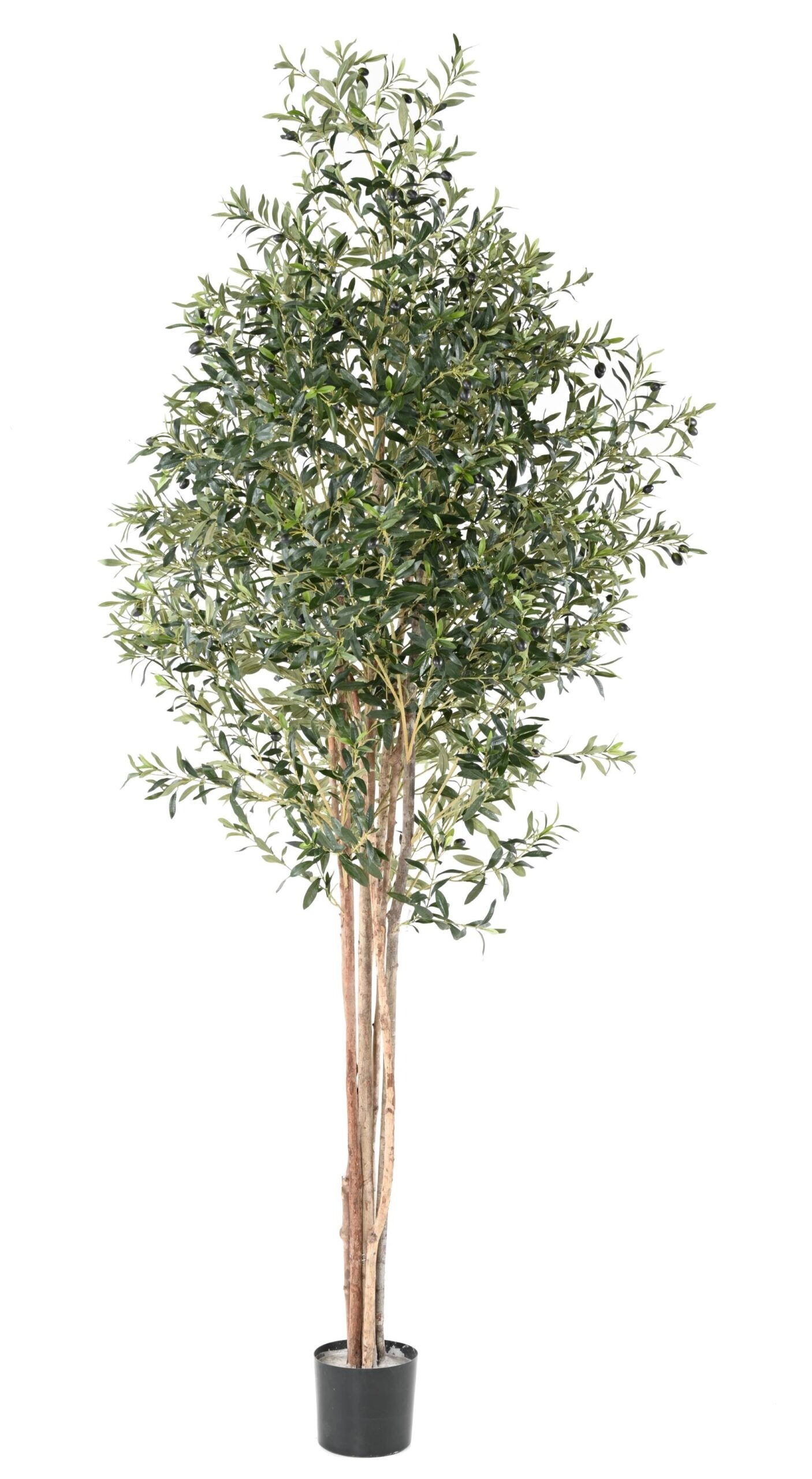 Künstlicher Olivenbaum, ca. 270cm hoch, silbergrün 1 Künstlicher Olivenbaum, ca. 270cm hoch, silbergrün